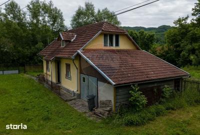 Casă cu 6 camere cu Teren 2143 Mp în Ribița - 8
