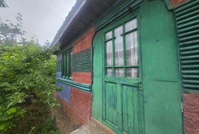 Casă cu 3 camere în Slătioarele - 4