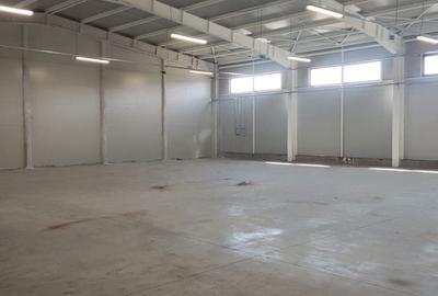 Spațiu comercial, de 520 mp, în Afumați