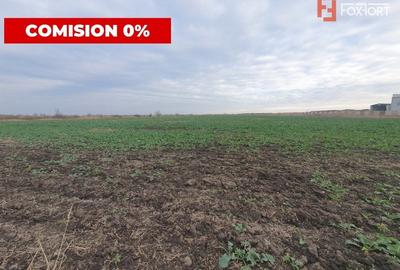 Teren agricol intravilan de 70000 mp, în Sud - 2