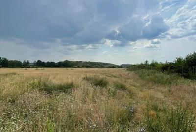Teren de 2994 mp, în Vasile Alecsandri - 1