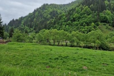 Teren Construcții intravilan de 1775 mp, în Sătic - 14