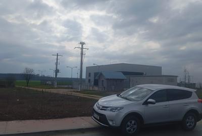 Teren Construcții intravilan de 17798 mp, în Dragomirești-Deal - 2