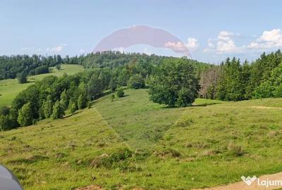 Teren de 128948 mp, în Munteni - 14