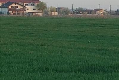 Teren de 5535 mp, în Central - 1