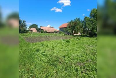 Teren intravilan de 1557 mp, în Jucu de Sus