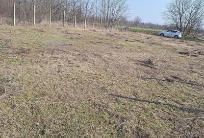 Teren de 750 mp, în Brănești - 2