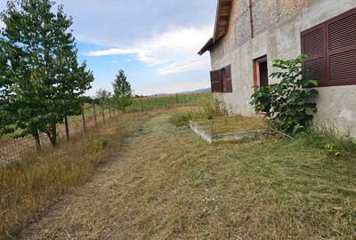 Casă cu 4 camere cu Teren 2000 Mp în Costișa - 4