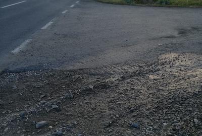 Teren de 15000 mp, în Topolovățu Mare - 2