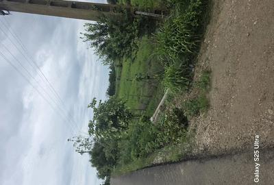 Teren de 3400 mp, în Copăceanca - 8