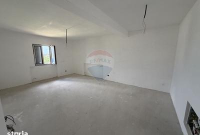 Casă cu 5 camere cu Teren 3960 Mp în Milcovul - 9