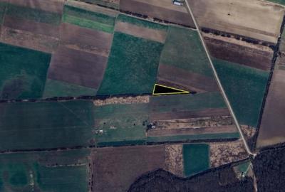Teren agricol extravilan de 5500 mp, în Giroc - 3