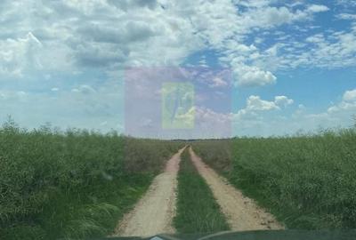 Teren de 94000 mp, în Albota