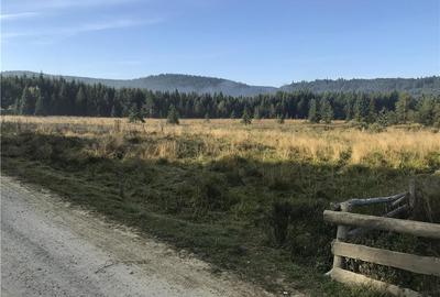 Teren de 2928 mp, în Comandău - 3