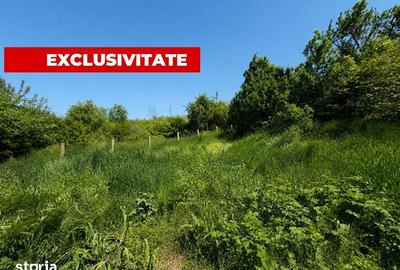 Casă cu 3 camere cu Teren 1577 Mp în Sava - 5