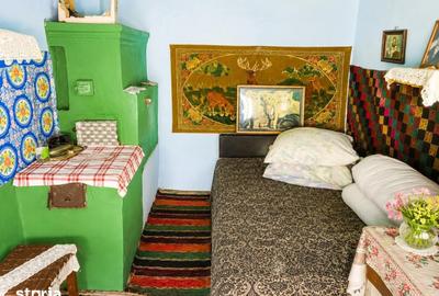Casă cu 3 camere cu Teren 3000 Mp în Podu Roș - 3