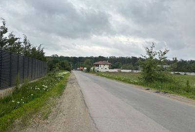 Teren Construcții intravilan de 1000 mp, în Mogoșoaia