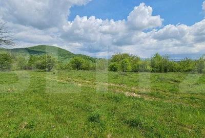 Teren de 1500 mp, în Central - 5