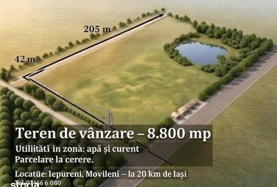 Teren de 8800 mp, în Movileni