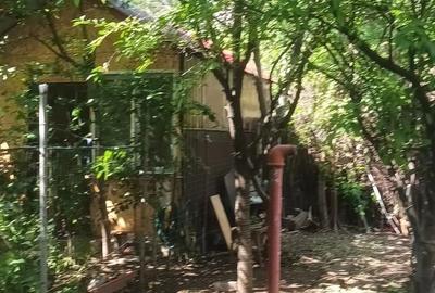 Apartament cu 2 camere decomandat în Calea București - 1