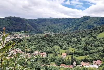 Apartament cu 3 camere decomandat, mobilat în Drumul Poienii - 3
