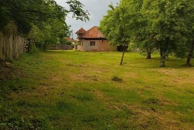 Casă cu 3 camere în Exterior Vest