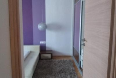 Apartament cu 2 camere decomandat, mobilat în Tineretului - 2