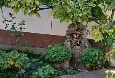 Casă cu 3 camere cu Teren 1000 Mp în Central - 2