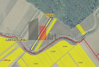 Teren de 6100 mp, în Cosoba - 1
