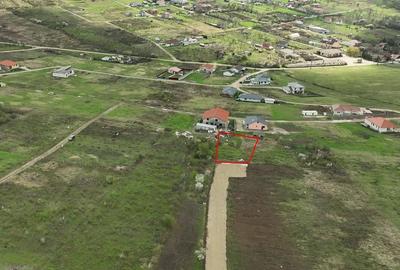 Teren Construcții intravilan de 700 mp, în Paleu - 1