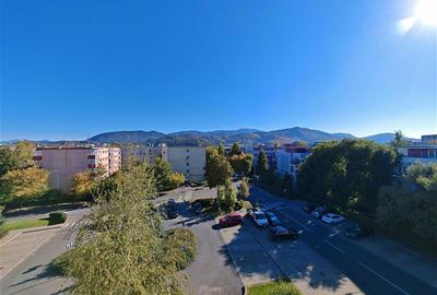 Apartament cu 2 camere decomandat, mobilat în Avantgarden