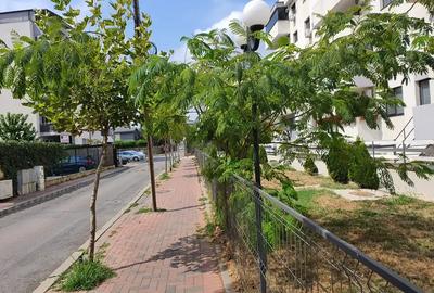Apartament cu 2 camere decomandat în Ozana
