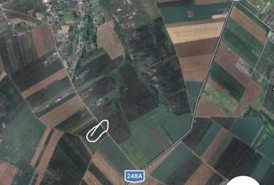Teren de 10000 mp, în Horlești - 1
