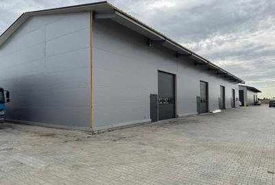 Spațiu industrial, de 480 mp, în Ciorogârla - 4