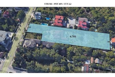 Teren Construcții intravilan de 4871 mp, în Iancu Nicolae - 1