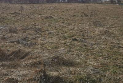 Teren de 880 mp, în Făget - 2