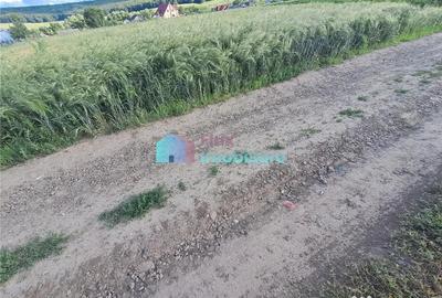 Teren în Reuseni - 10