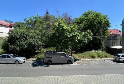 Spațiu comercial, în Radu Negru - 1