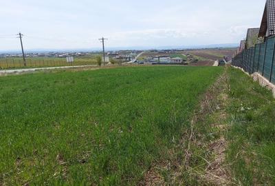 Teren agricol intravilan de 4000 mp, în Sfântu Ilie - 3