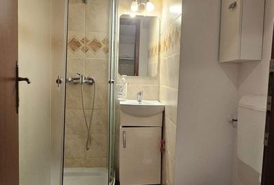 Apartament cu 2 camere, mobilat în Amzei - 3