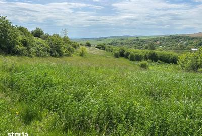 Teren de 4500 mp, în Tureni - 5