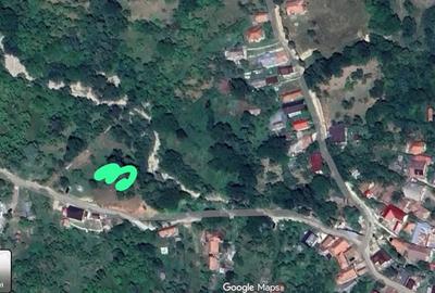 Teren de 5000 mp, în Pietroșița - 4