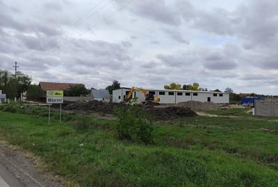 Teren de 1460 mp, în Măureni - 6