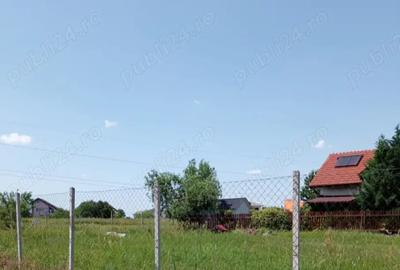 Teren de 680 mp, în Dumbrăvița