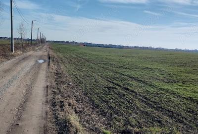 Teren de 700 mp, în Odăile - 9