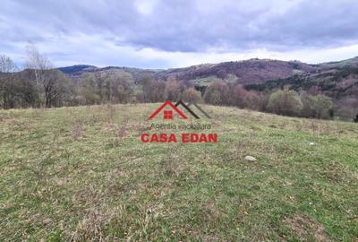 Teren extravilan de 20500 mp, în Valea Doftanei - 5