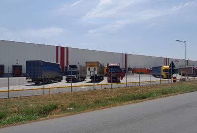 Teren Construcții intravilan de 20000 mp, în Joița - 2