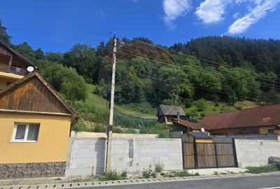 Teren de 1260 mp, în Râu Sadului