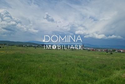 Teren agricol extravilan de 7040 mp, în Preajba - 5