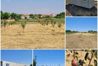 Casă cu Teren 3400 Mp în Checea - 2